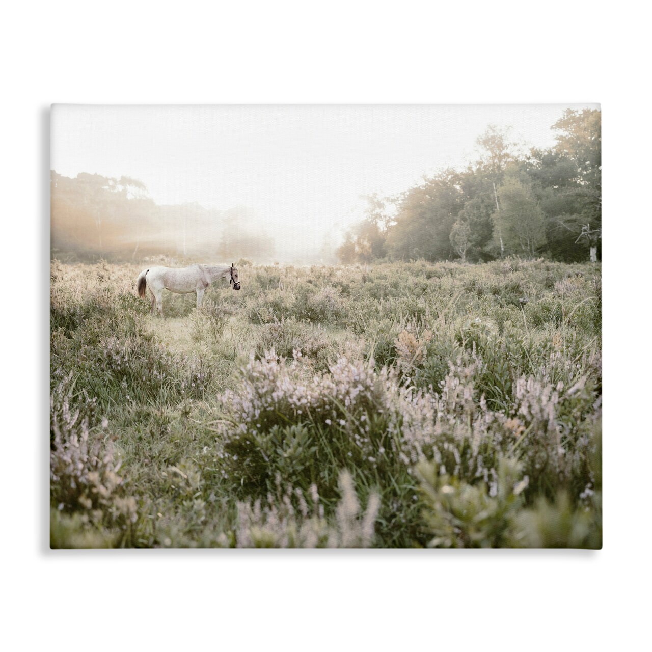 Stupell Industries Misty Sunset Horse Canvas Wall Art, design by Leah Straatsma